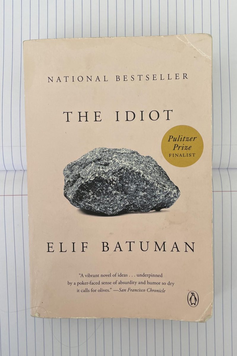The Idiot Book Review