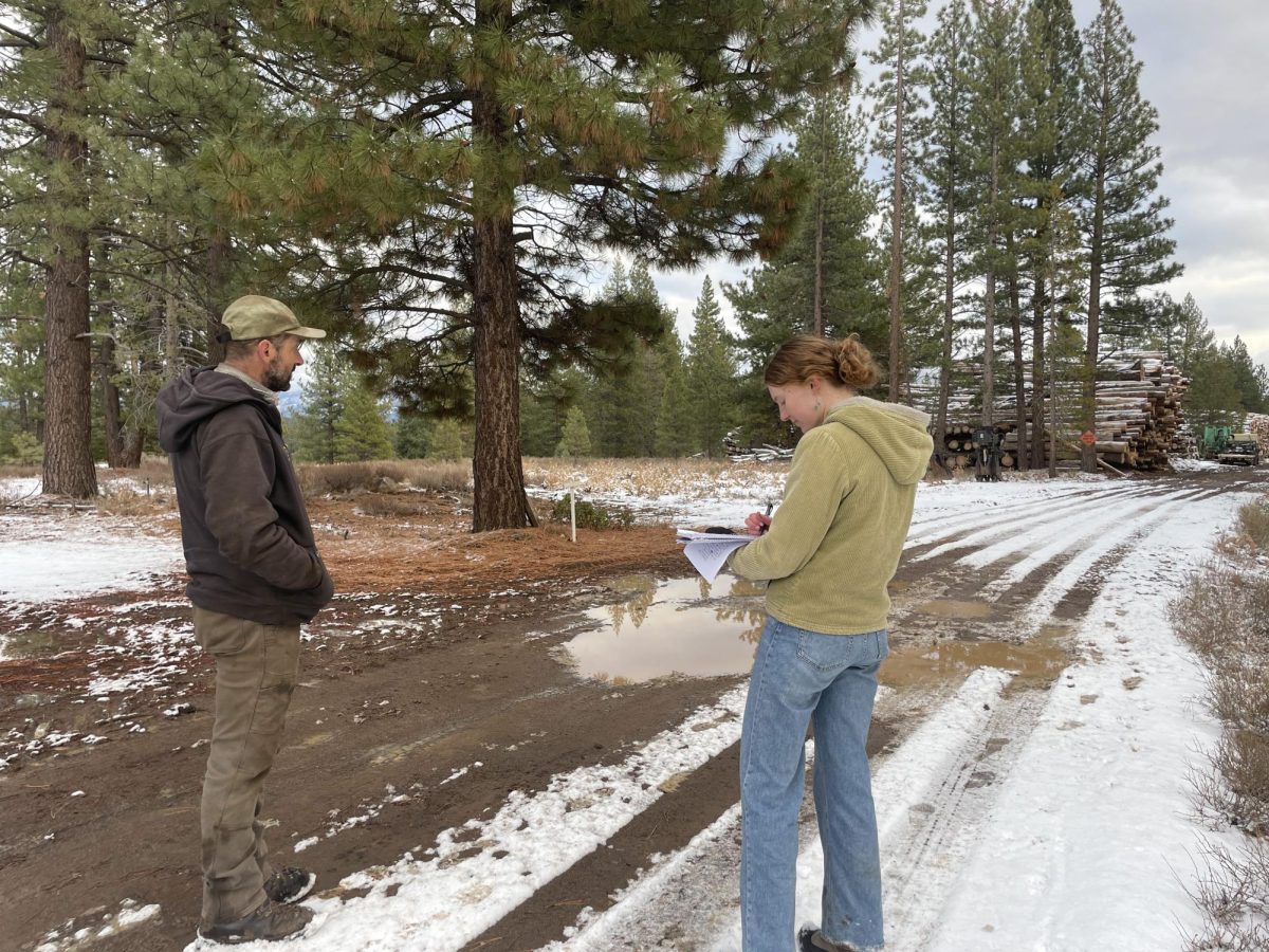 David Mercer and Maeve Kristian at the Alpenglow Timber property  