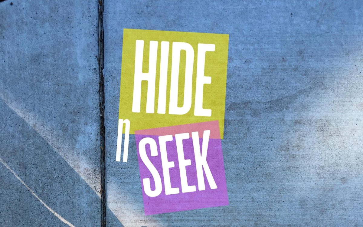 Hide n Seek