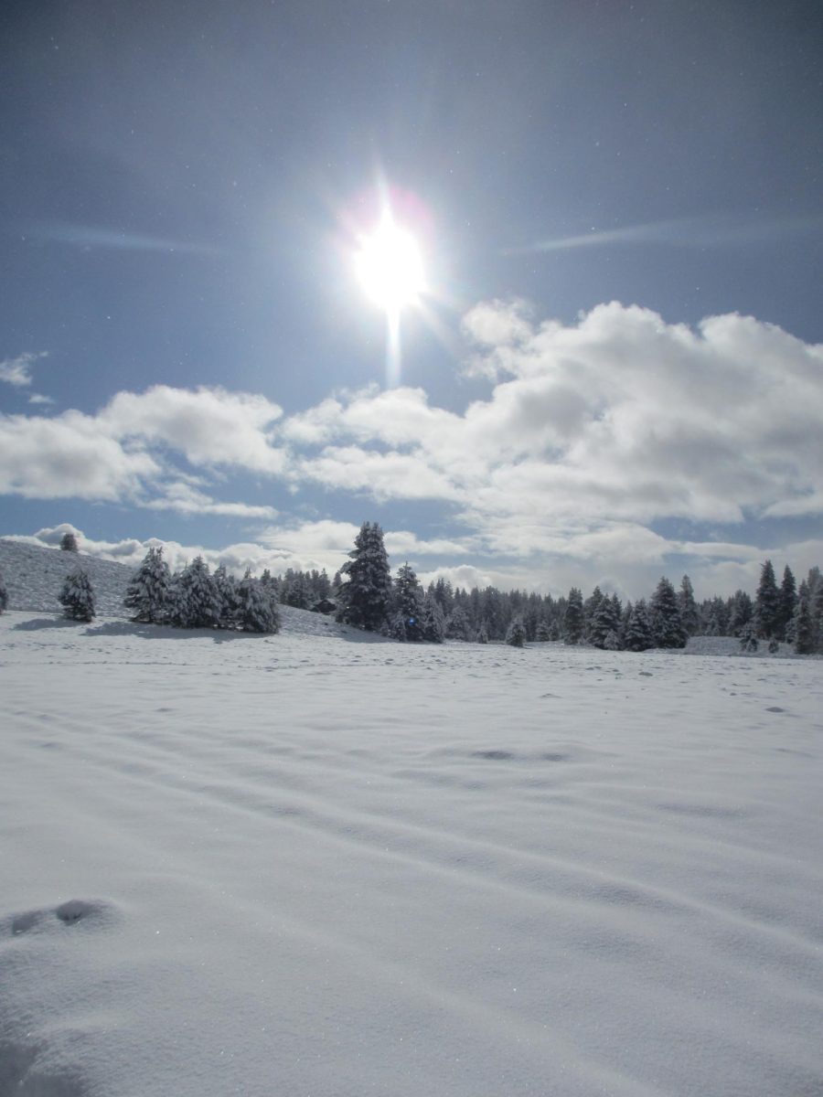 Snow in Truckee: A Love/Hate Relationship