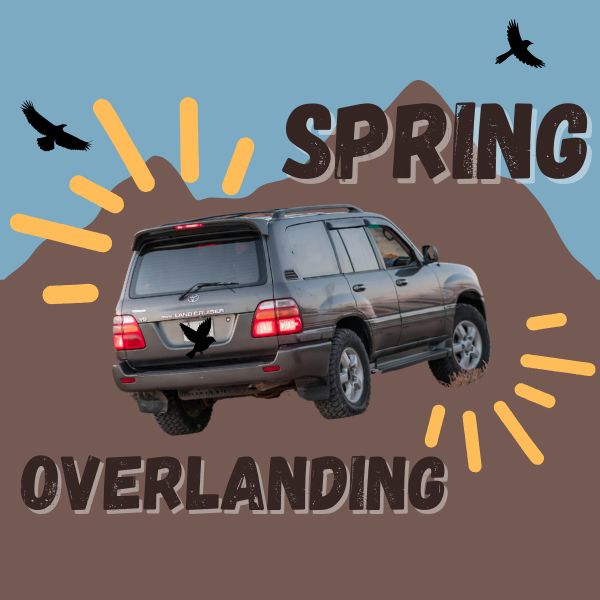 Spring Offroading Vehicle Choices