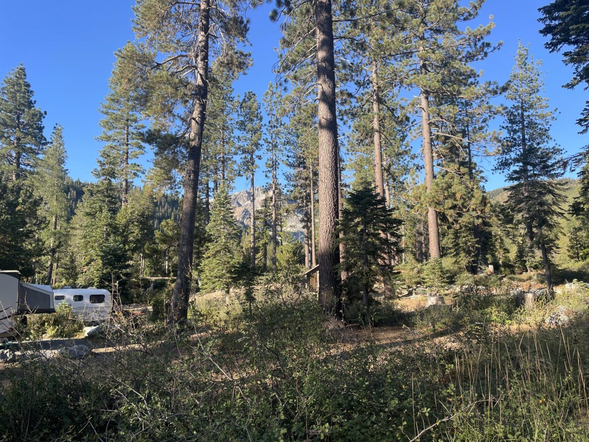 Sardine Lake Campground. 