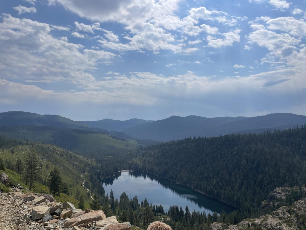 Lower Sardine Lake as viewed from Tamarack Connection Trail. 