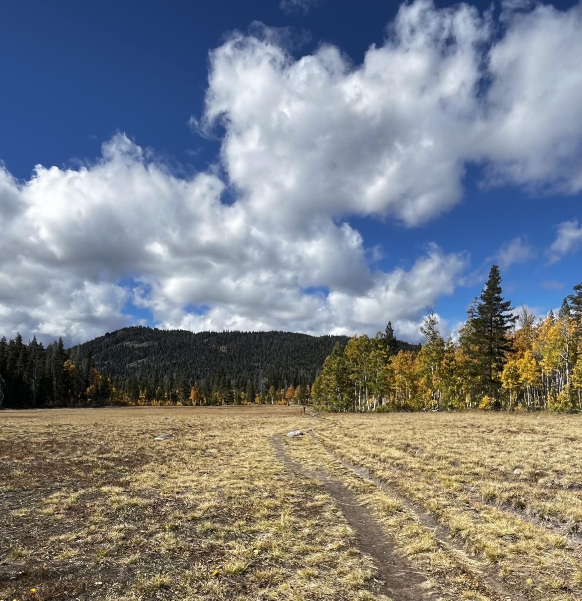 The Science Behind Everyone’s Favorite Season