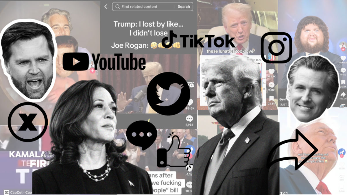 Never Give a Politician Social Media