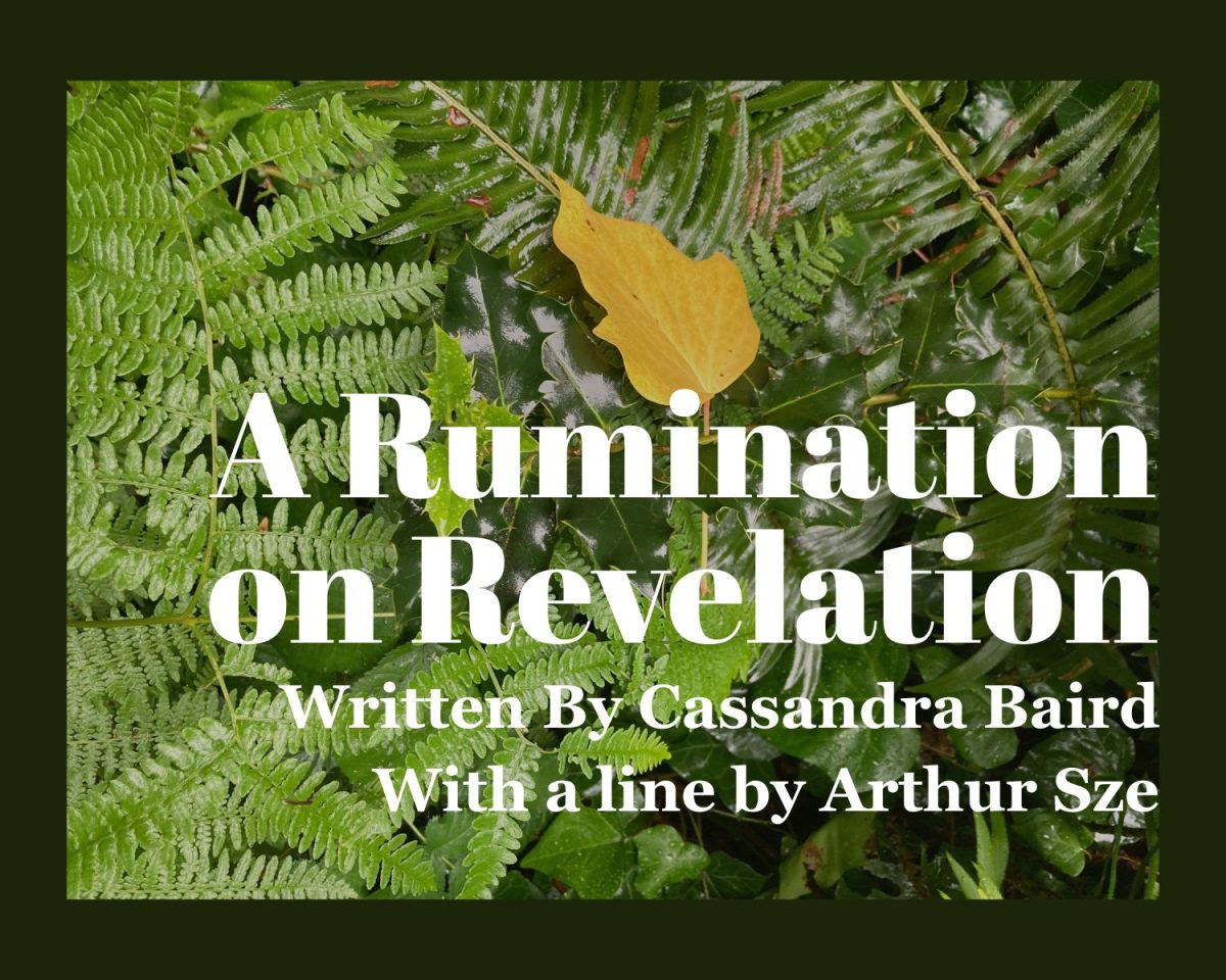 A Rumination on Revelation