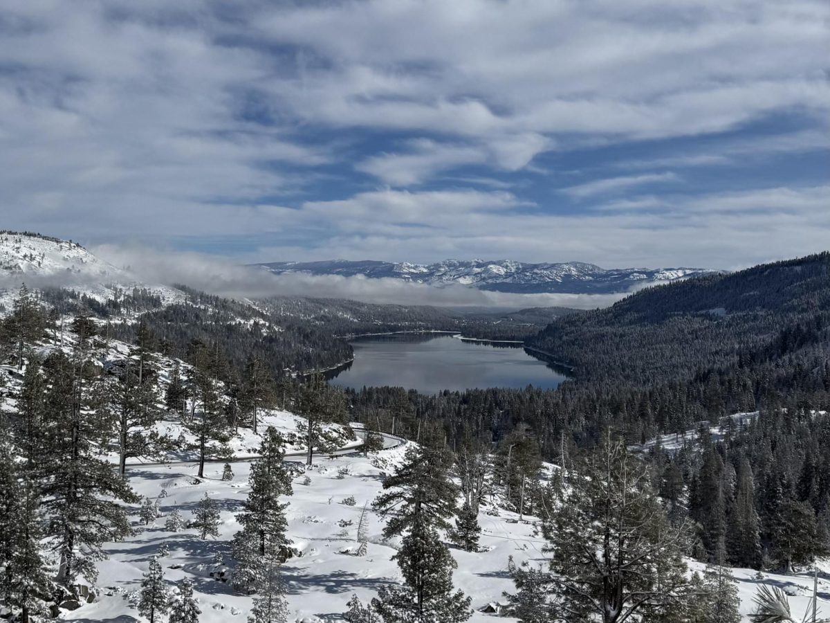 Donner