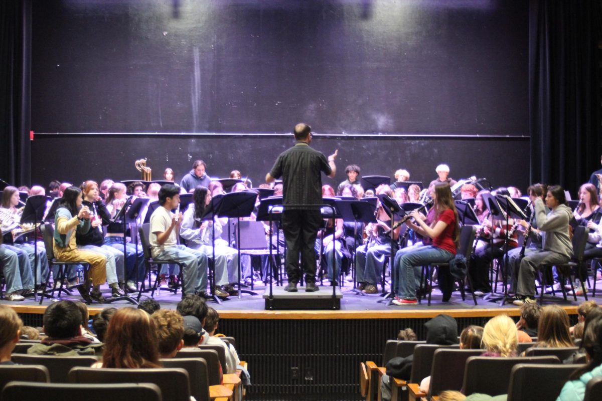 SELS Performance at THS